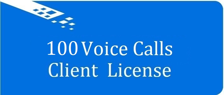 Лицензия на 100 голосовых вызовов Vinteo VI-S008